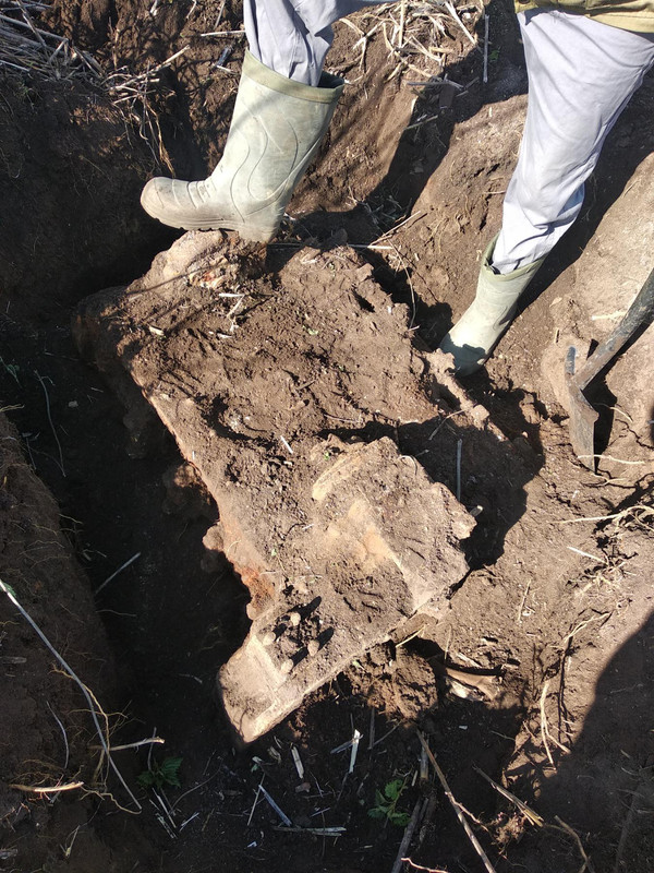 изображение_viber_2022-05-03_17-09-37-357