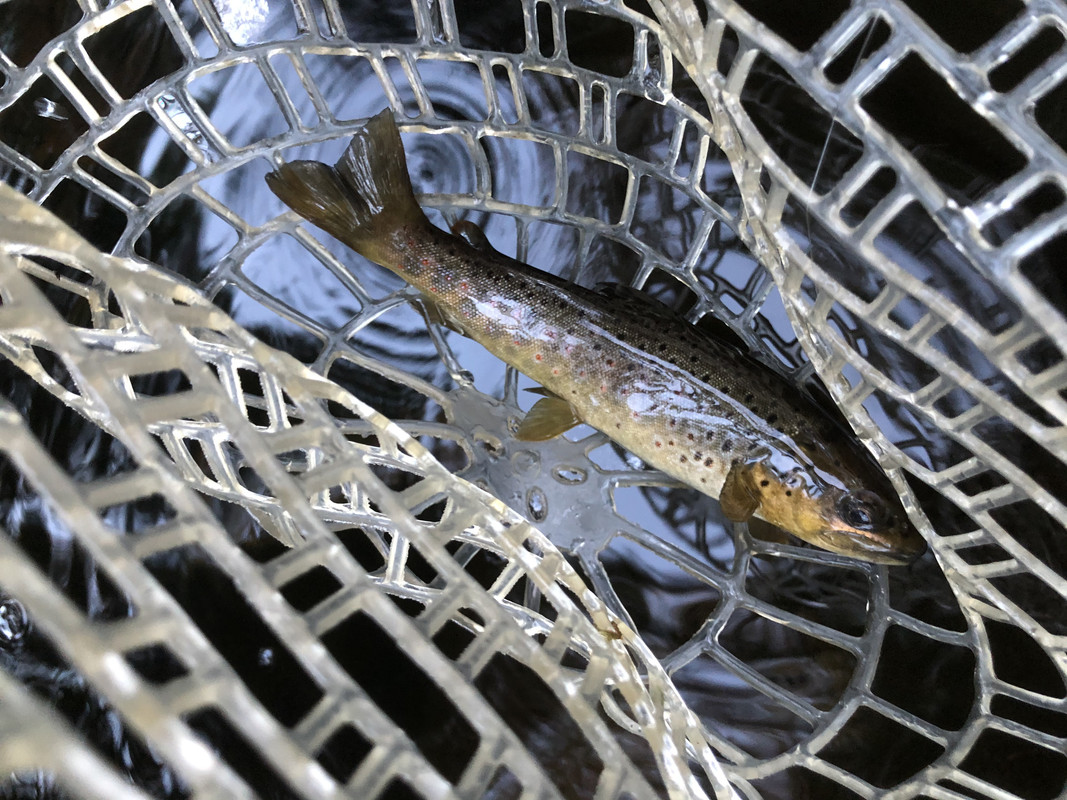 BCDA9C6C-8854-4758-B340-83C417E2D1AB