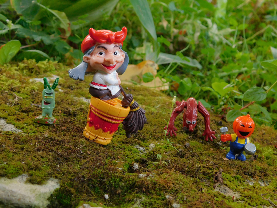 Дачное осеннее и продажа 012