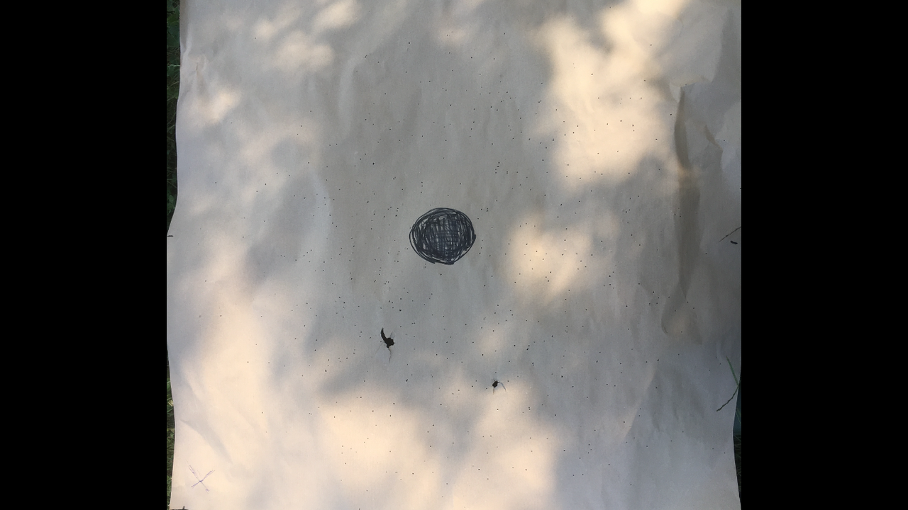 C218B45E-7807-4773-8C98-54800FB64A13