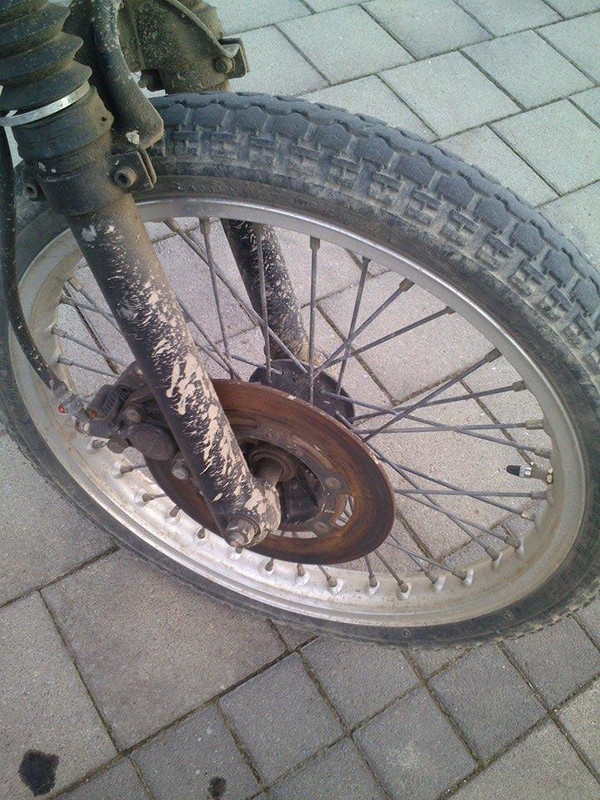 11139675_10204937119041837_1475142245_n