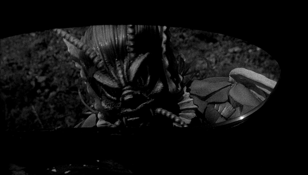 SHE CREATURE REFERENCE (5)