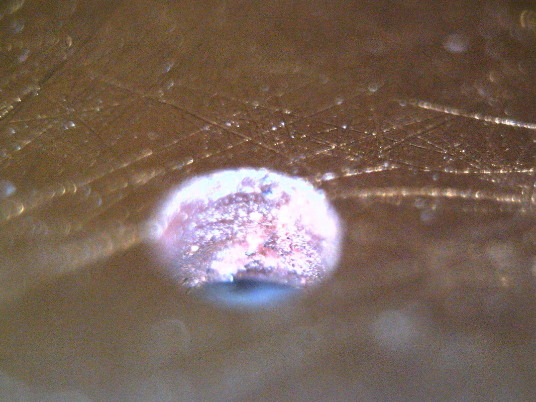 Изображение 079