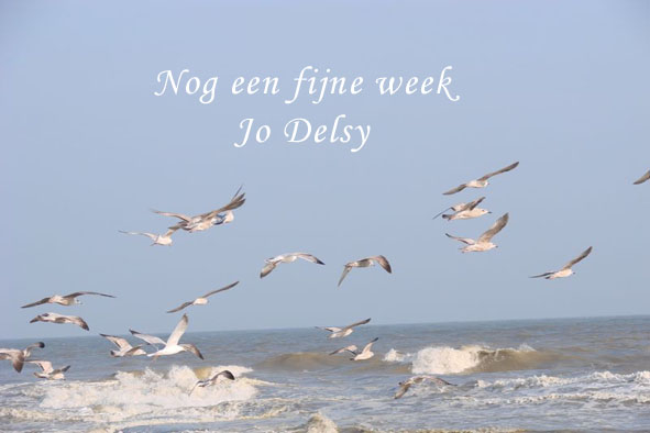 Welkom op blog Jodelsy
