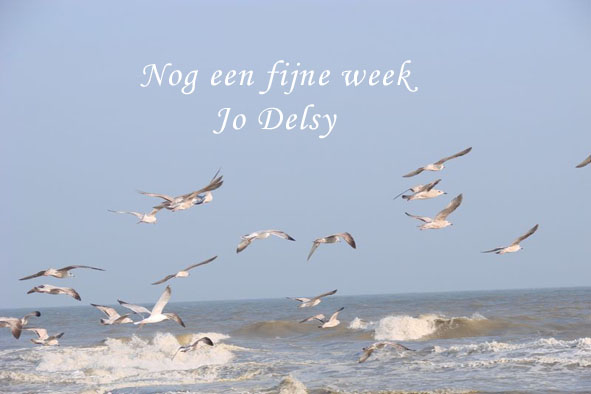 Welkom op blog Jodelsy