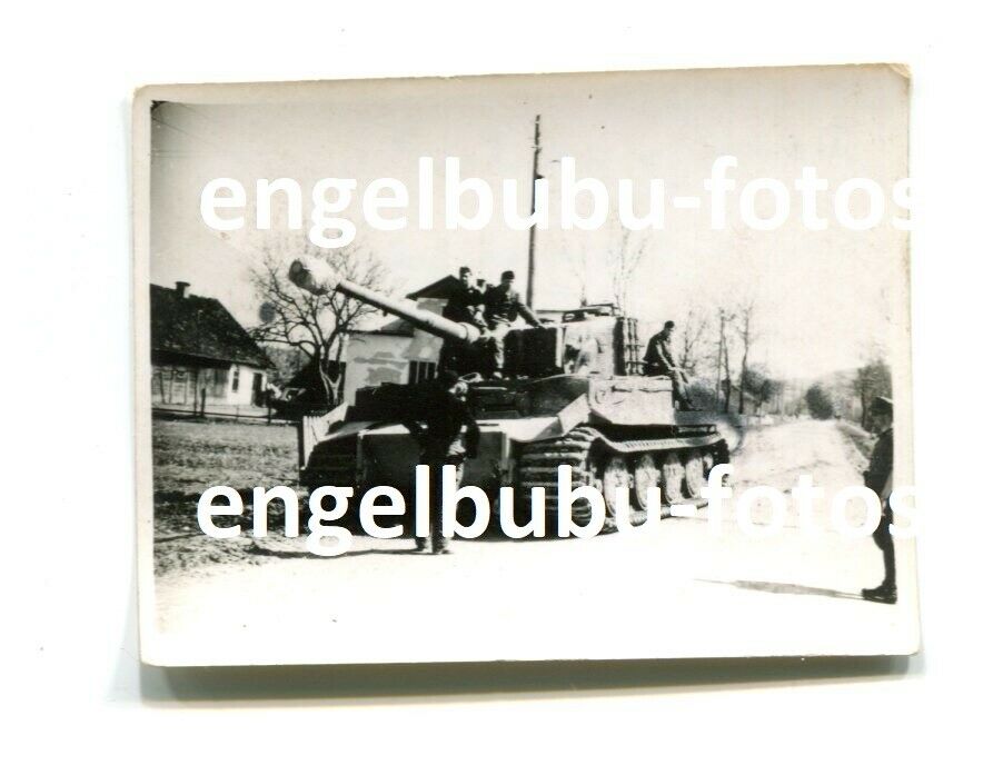 FOTO - PANZER - TIGER - PANZER VI - TIGER-EINSATZ UNGARN 194445 - Zimmerit -2 (1)