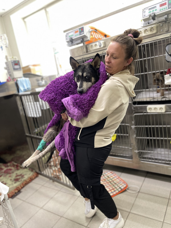 2D324F33-A4B7-4FDB-A2E4-55CAE63CF1BD