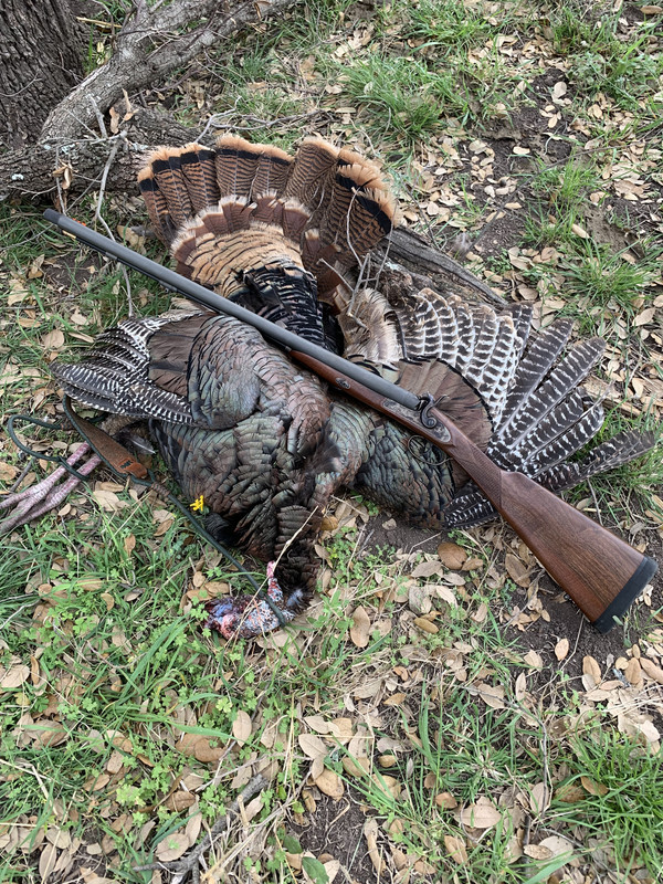 4733B8CE-3B26-45AF-9C44-8CE02B5DD55A