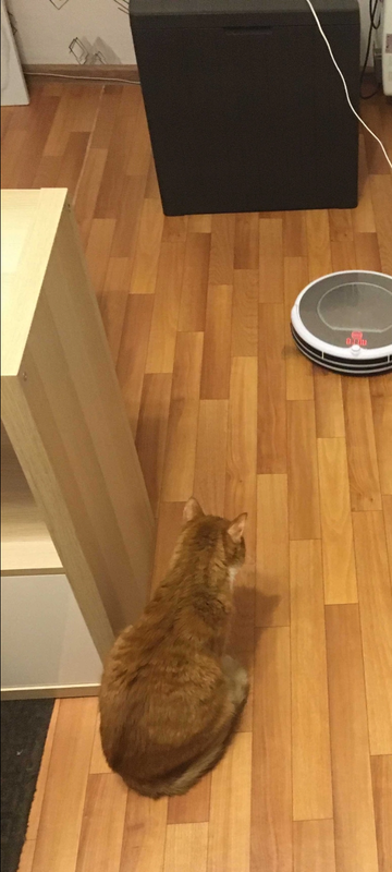 Screenshot_20221028-223810