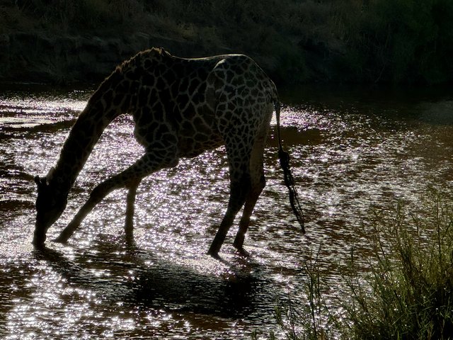 [Linked Image from i.postimg.cc]