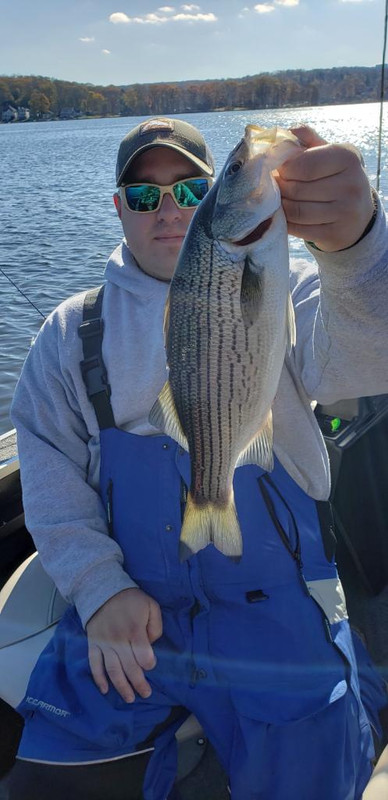 15BBD6F8-6F6A-4625-B515-EEDF370391EF