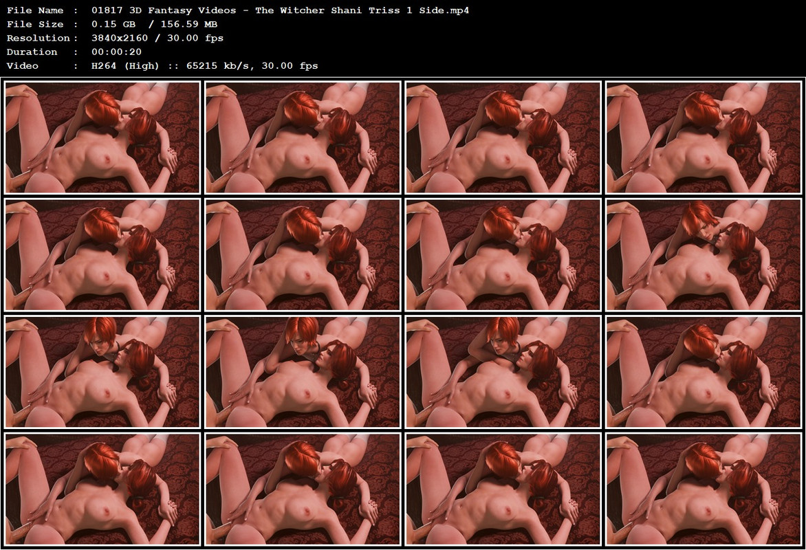 01817 3D Fantasy Videos - The Witcher Shani Triss 1 Side.mp4