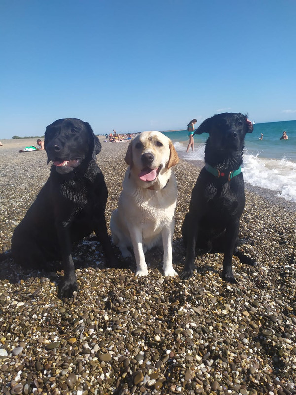 WhatsApp Image 2020-07-23 at 19.48.19(1)