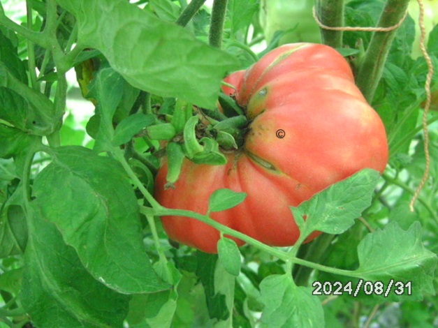 [Bild: BILD0378.jpg]