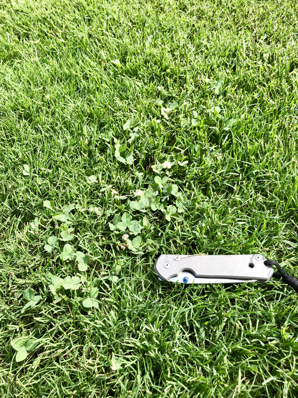 B3E6B767-ADB6-4218-ACBD-D4B2BCC9E81C