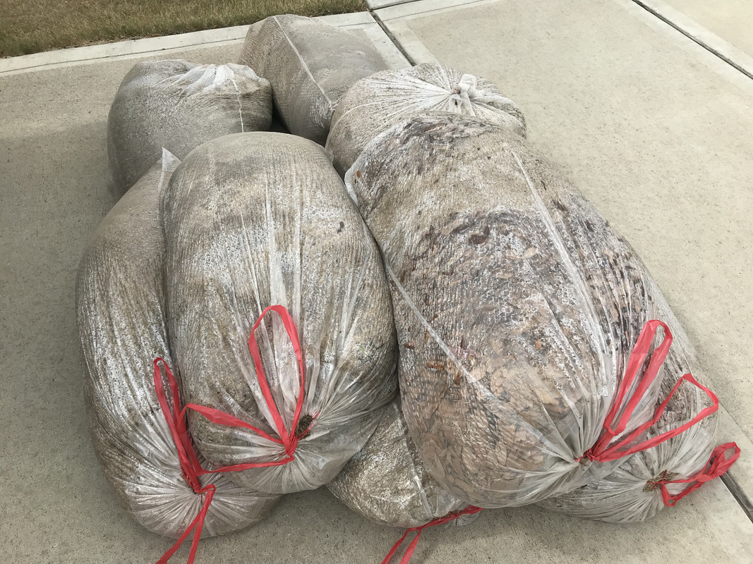 24584813-CFE3-427C-917C-443539205E97