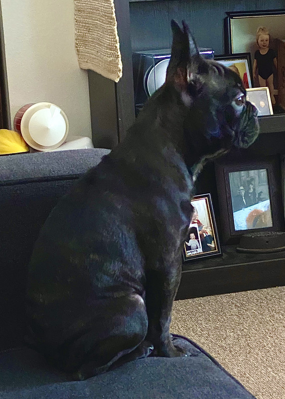 D4074D93-D8EF-41D7-A2D7-00A0132CD42D