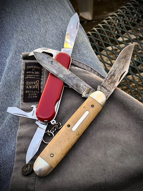 55-AA4-F3-E-2-AC0-4002-AAA7-556-AC4-F8-F9-F7.jpg