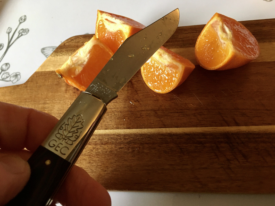 18D8B718-43DE-4B6F-9560-337259E6E66D