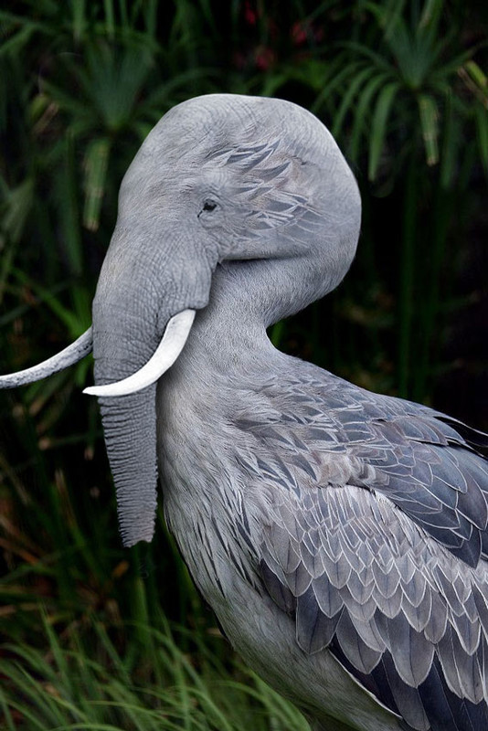 3ixcfc0x20p41-2994942182