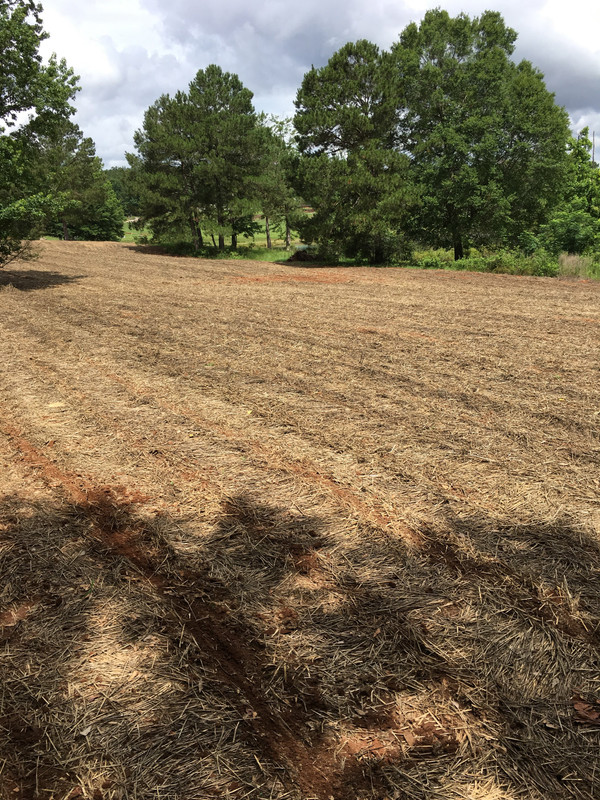 338CDE55-8E70-4852-AAB3-5D9FEA634CFD