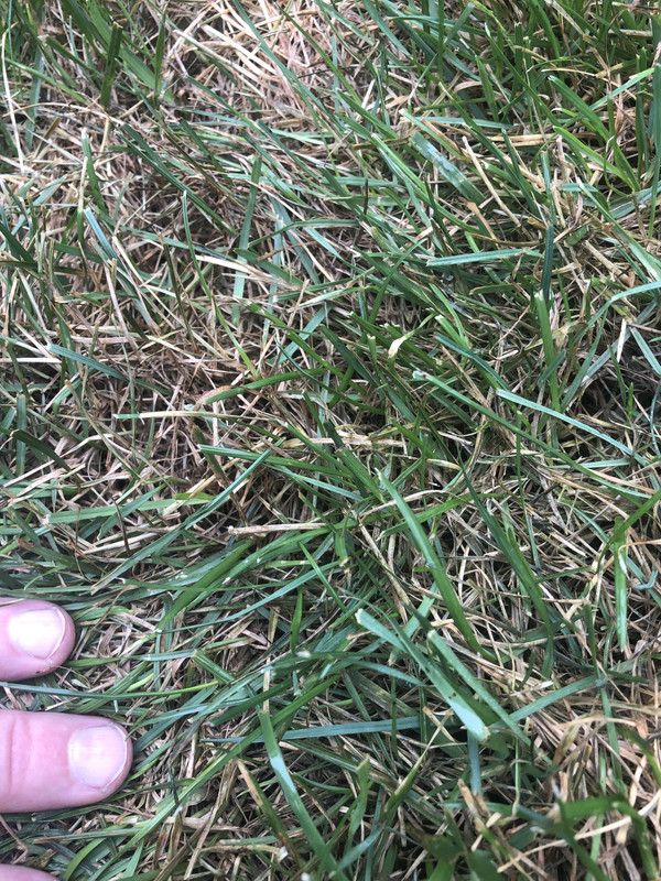 771C138F-A964-4E65-9A66-2AA673F5015B