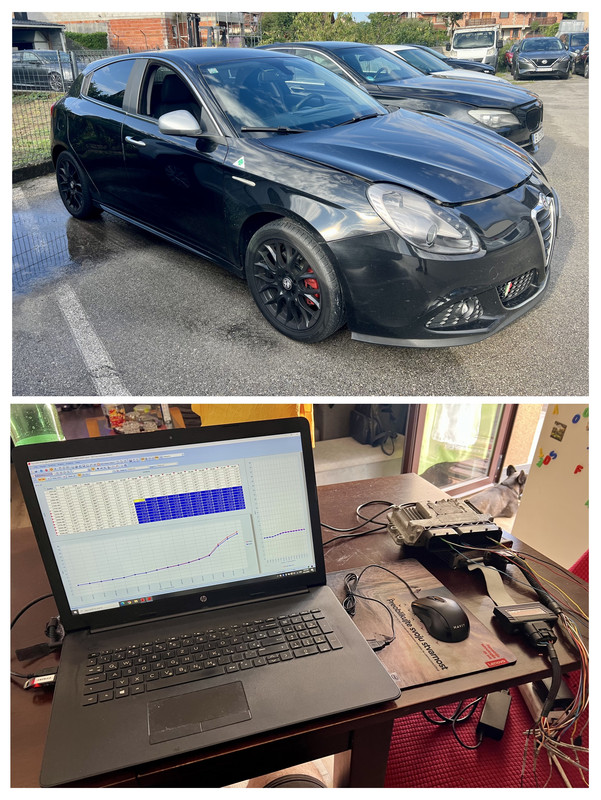 8874AEE9-6434-48F9-8CB4-BC5308ABD62F-COLLAGE