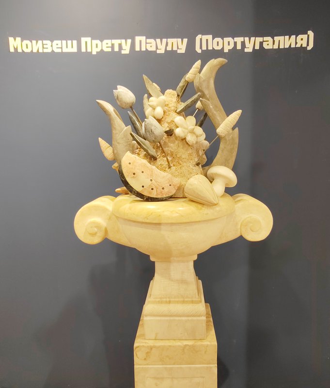 https://i.postimg.cc/fyzf79YJ/111-IMG-20250109-115817.jpg