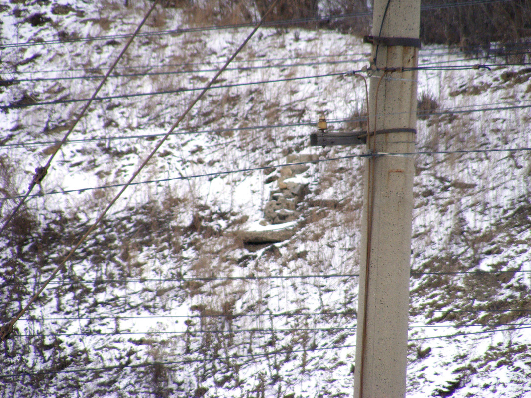 DSCF0437 - копия