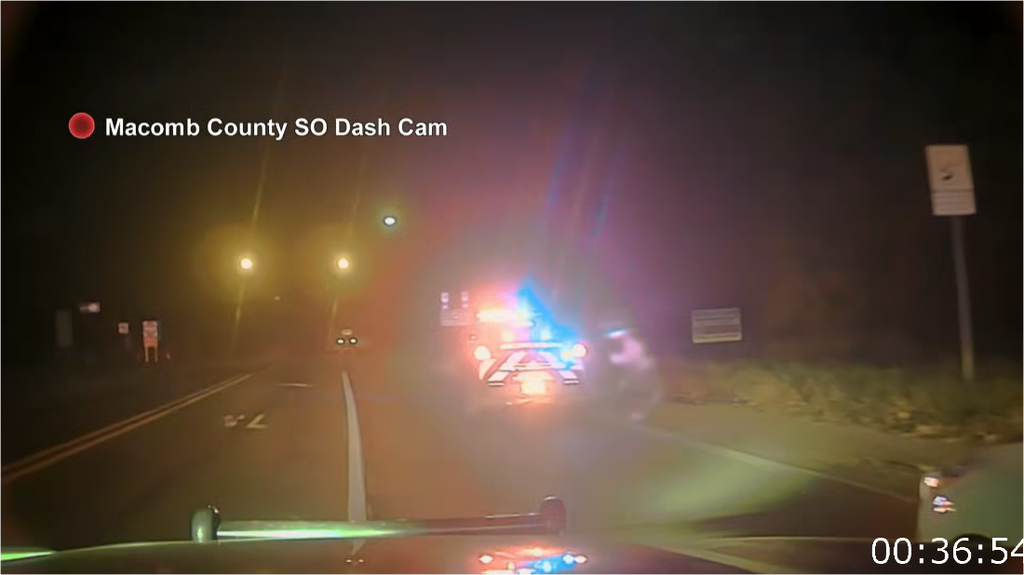 [Image: 7fshcadz0t10.png]