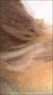 [Image: 1Face011629101734.jpg]