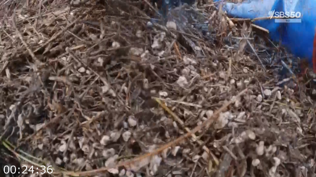 [Image: d4tznu21y6wh.png]