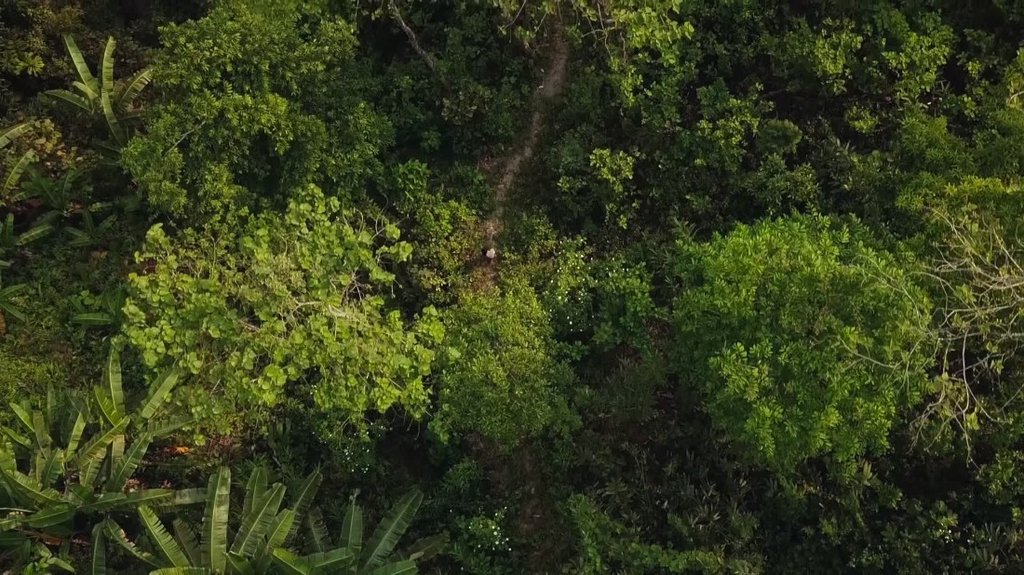 [Image: c6nnm3ft9jo1.jpg]