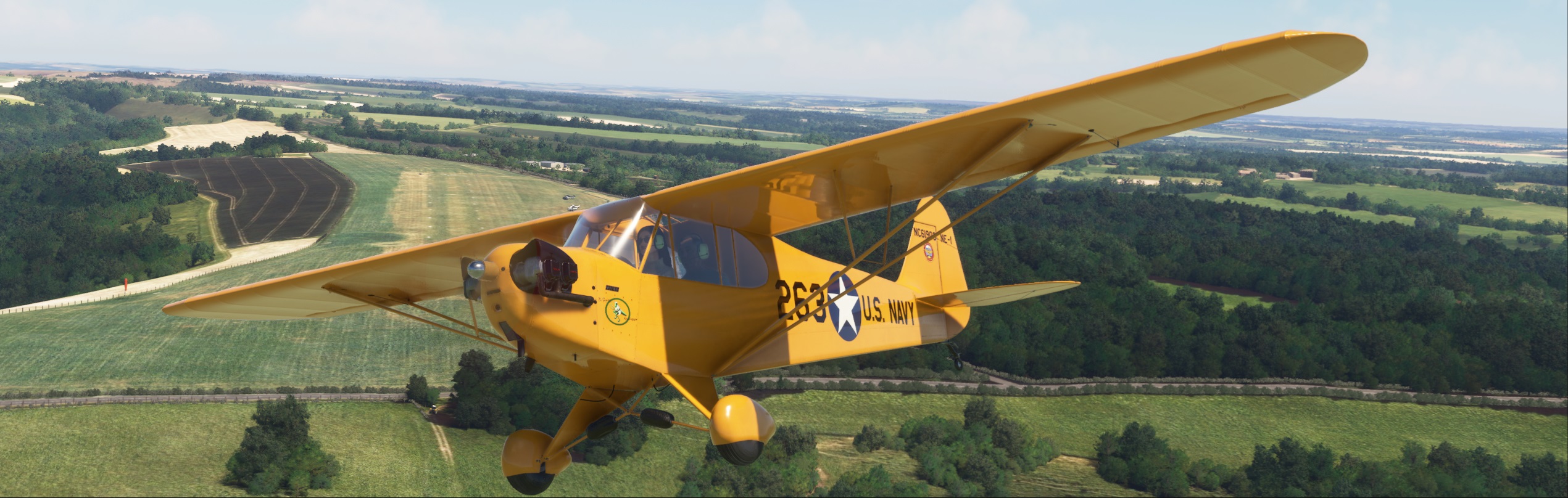 Navy-Cub-CA.jpg