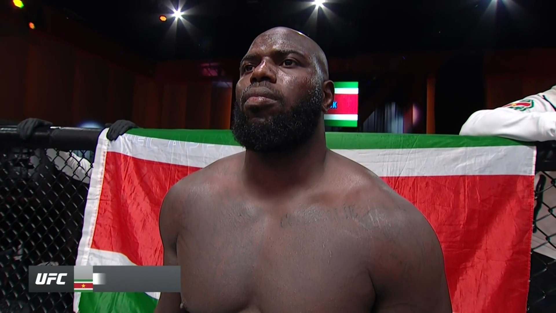 UFC 252 Full PPV 1080p HDTV x264-WH