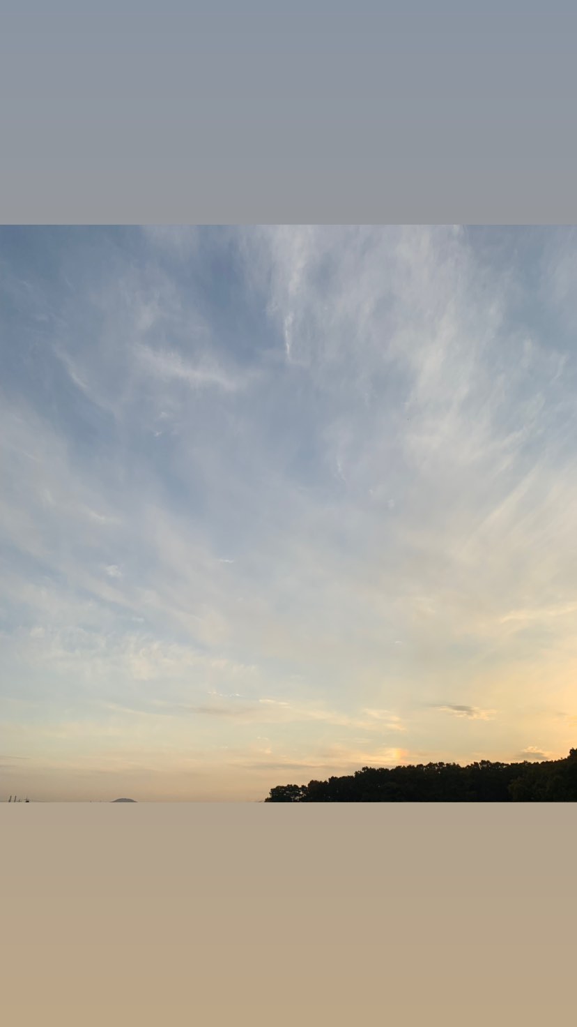 122799524-120728046487112-10026911131236