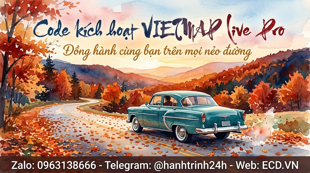 vietmap pro active 1 year