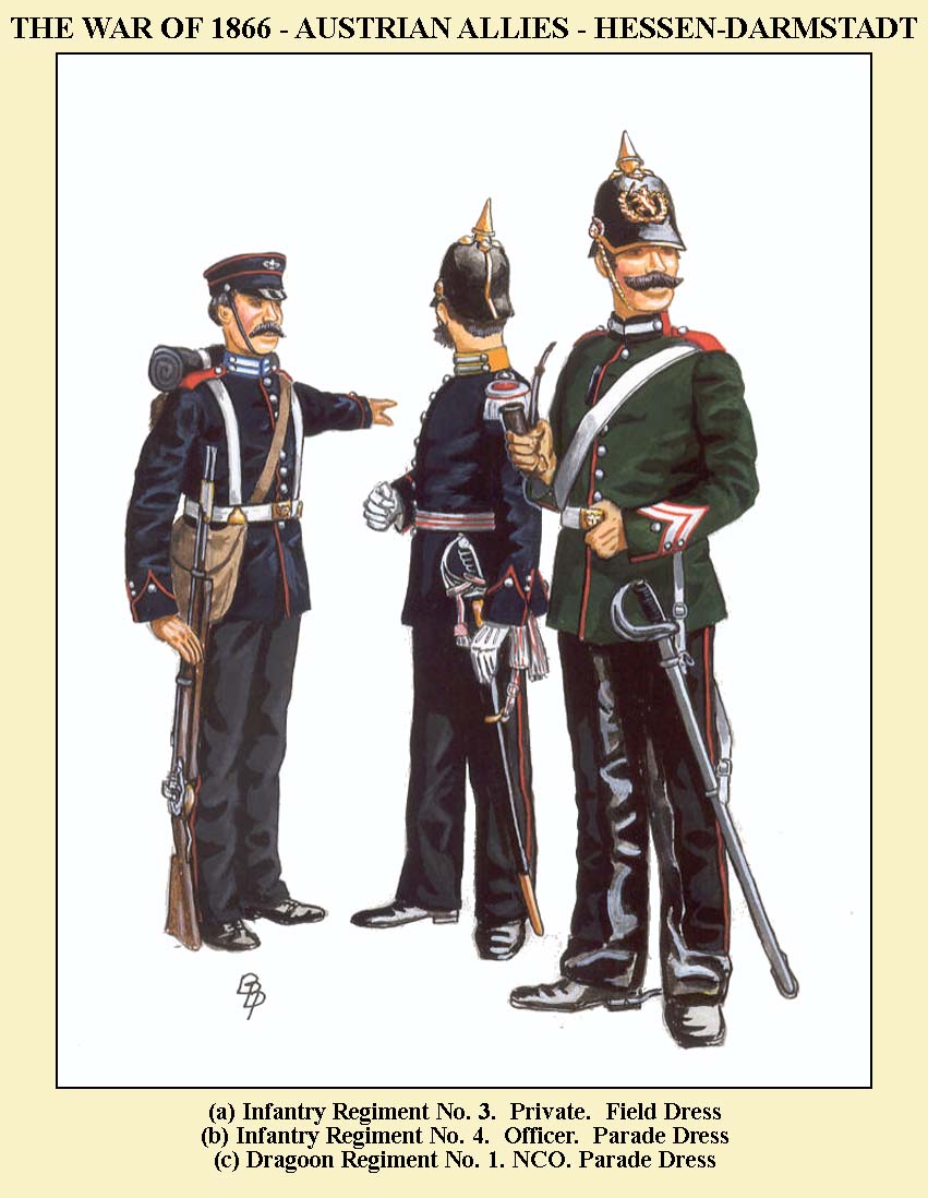 AUST-ALLIES-12.jpg