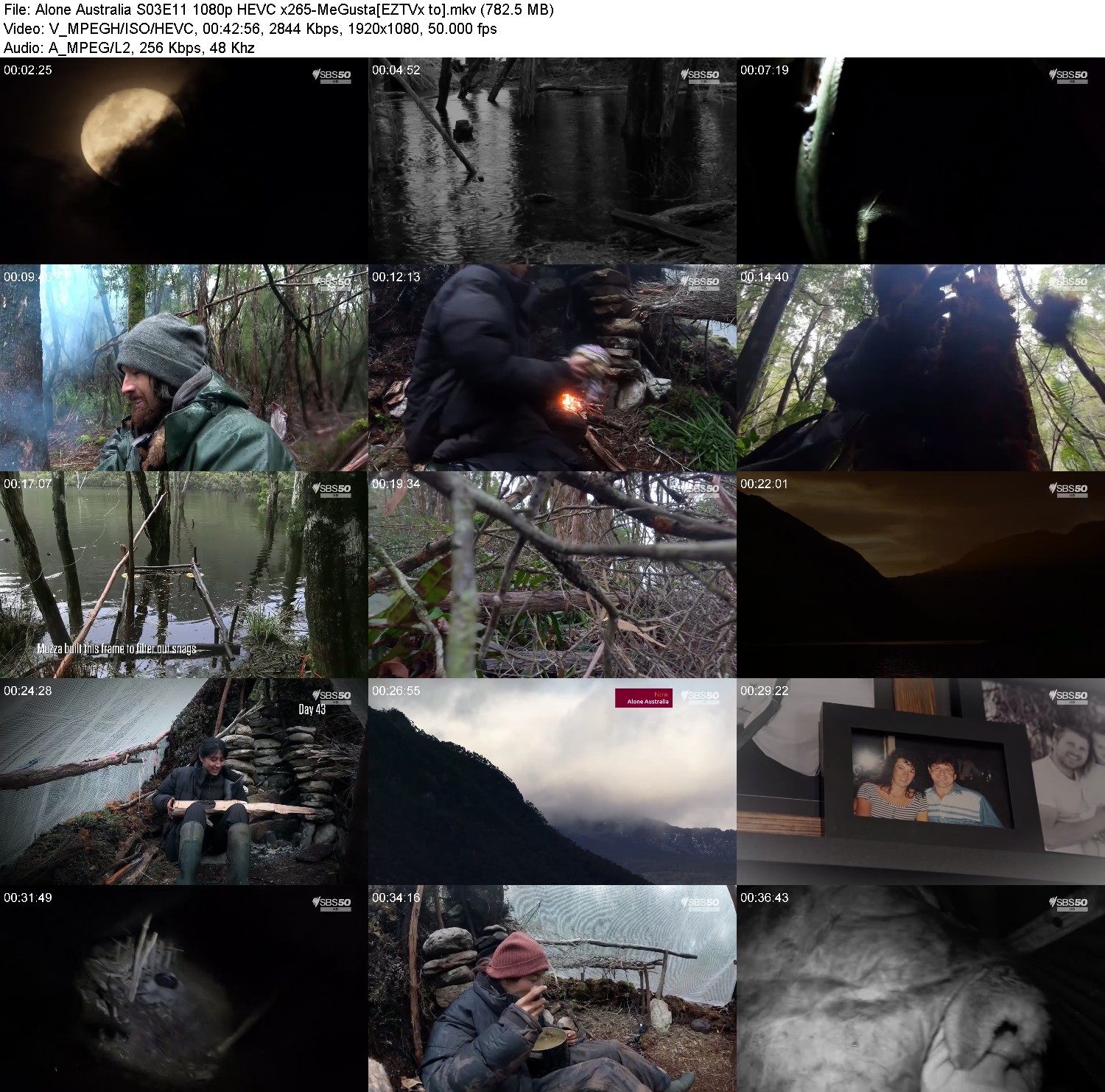 [Image: dlywp0f80f6x.jpg]