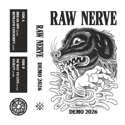 Raw Nerve - Demo (2026) (2026)