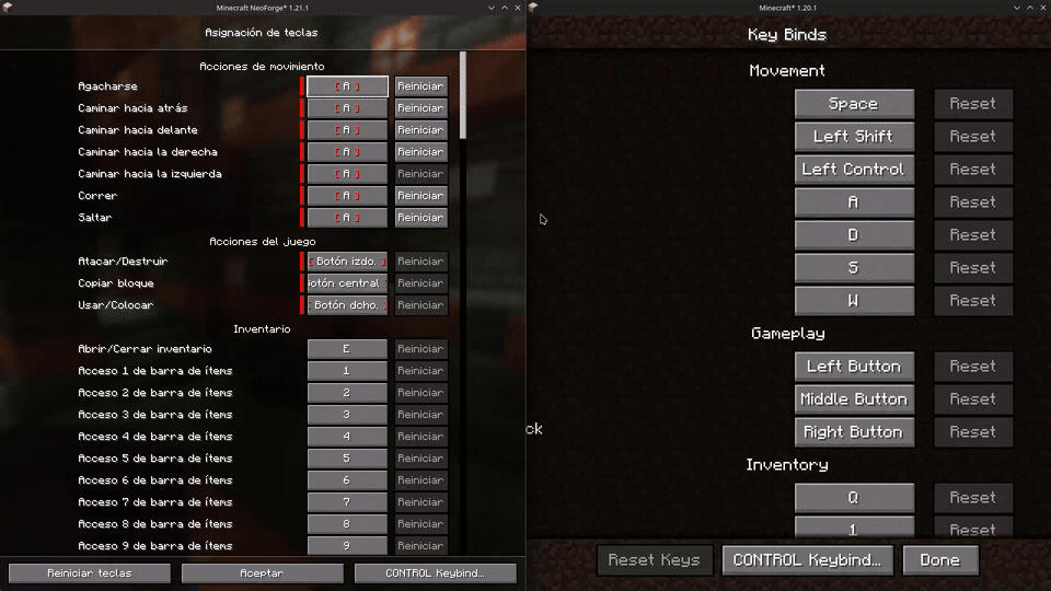CONTROL Keybind Import Demo
