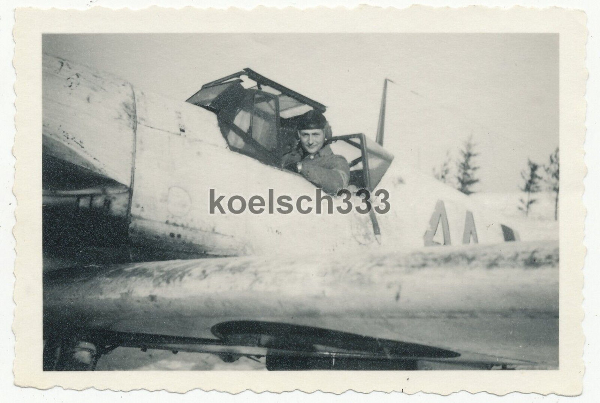 Foto Jagdflieger E. Bergmann im Messerschmitt Me 109 Flugzeug JG 101 Landau 1945 (1)