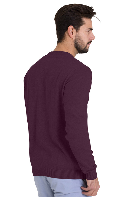large image 6