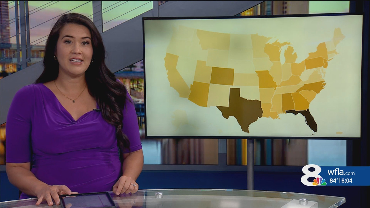 NewsChannel 8 at 6p Sunday_20250706_23002330.ts_snapshot_04.55.318