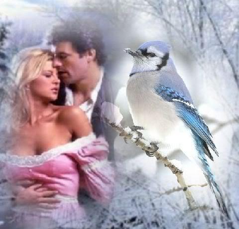 birdss80z9g90udm