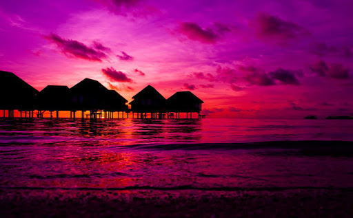 magentasunset.jpg