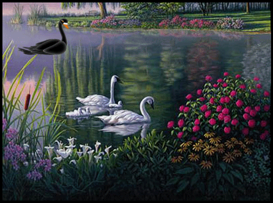 nature-12
