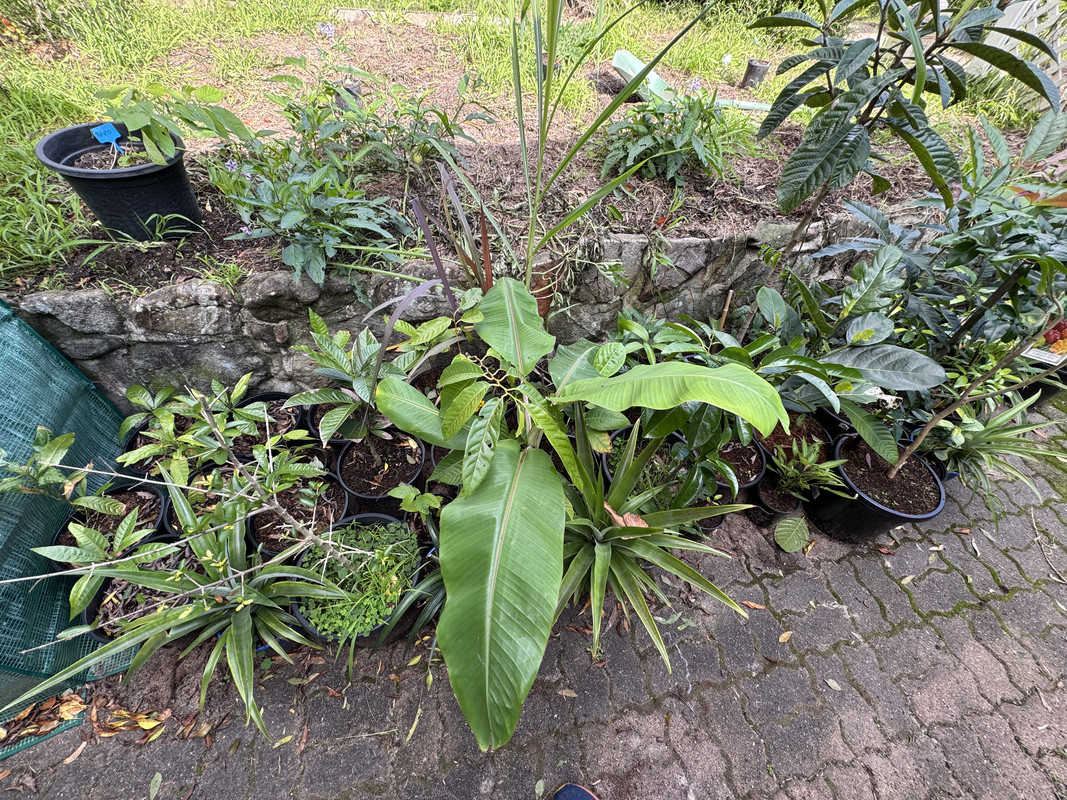 731CD525-2B9A-4730-BAEC-AD7B0EBDB5B2