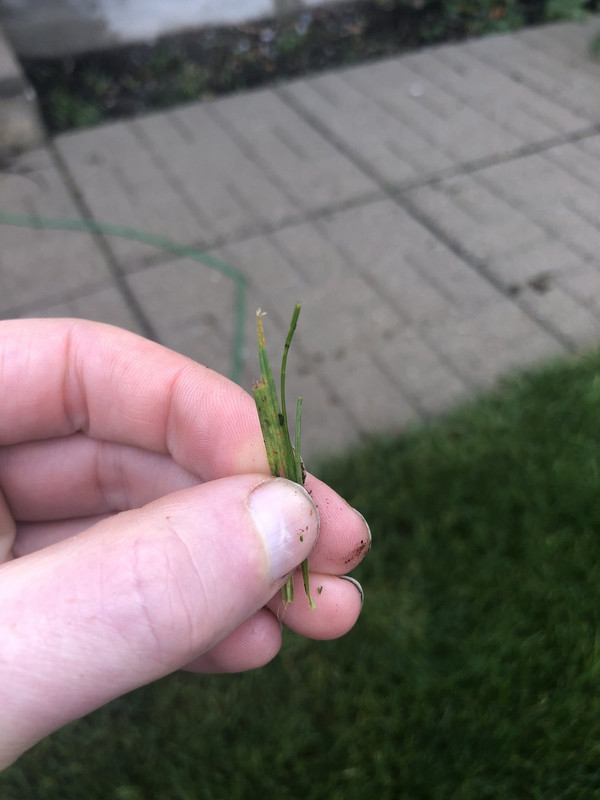 94A90C37-34B9-4575-838F-57607DF547EF