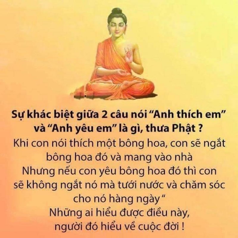 [Image: 79-C24492-775-A-485-F-A9-DD-9-D46-EC49-FD42.jpg]